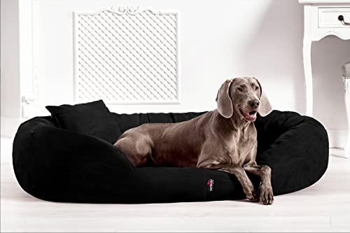 tierlando® Orthopädisches Hundebett Sammy | High-Tech-Velours | Dicke Umrandung | L - XXXXL Hundesofa Schwarz Gr. XXXL 170 cm von tierlando