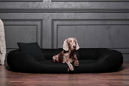 tierlando® Orthopädisches Hundebett Sammy | Kunstleder-Velours-Mix | Dicke Umrandung | L - XXXXL Hundesofa (Schwarz Gr. L 100 cm von tierlando