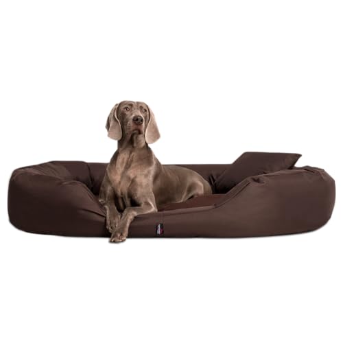 tierlando® Orthopädisches Hundebett Sammy - Robuster Polyester - Dicke Umrandung - Gr. L - XXXXL Hundesofa Hundekörbchen, mittelgroße und große Hunde, waschbar Gr. XXL 140 cm Braun von tierlando