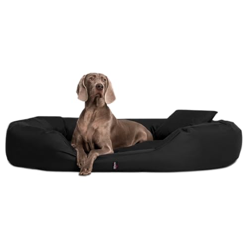 tierlando® Orthopädisches Hundebett Sammy - Robuster Polyester - Dicke Umrandung - Gr. L - XXXXL Hundesofa Hundekörbchen, mittelgroße und große Hunde, waschbar Gr. XXXL 170 cm Schwarz von tierlando