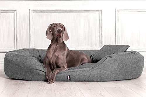 tierlando® Orthopädisches Hundebett Sammy | Robuster Polyester | Dicke Umrandung | L - XXXXL Hundesofa (Polyester | XXL 140 cm, 99 Leinenlook Dunkelgrau) von tierlando