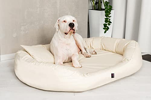 tierlando® Orthopädisches Hundebett Sammy - Robuster Polyester - Dicke Umrandung - Gr. L - XXXXL Hundesofa Hundekörbchen, mittelgroße und große Hunde, waschbar Gr. XXL 140 cm Creme von tierlando