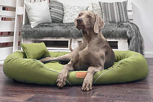 tierlando® Orthopädisches Hundebett Tiffany Couture | Große Hunde XL XXL | Elegant | Waschbar Memory Foam | Meliertes Hundesofa XL | Hellgrün von tierlando