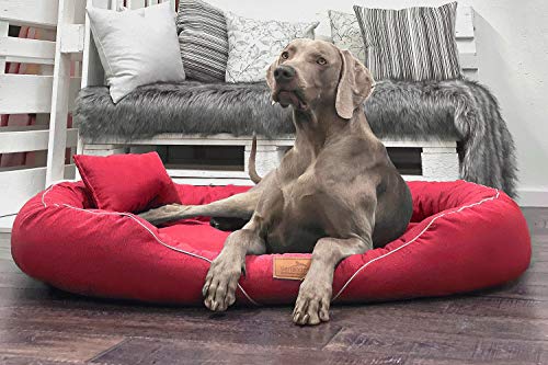 tierlando® Orthopädisches Hundebett TIFFANY Couture | Große Hunde XL XXL | Elegant | Waschbar Memory Foam | Meliertes Hundesofa XL | Rot von tierlando