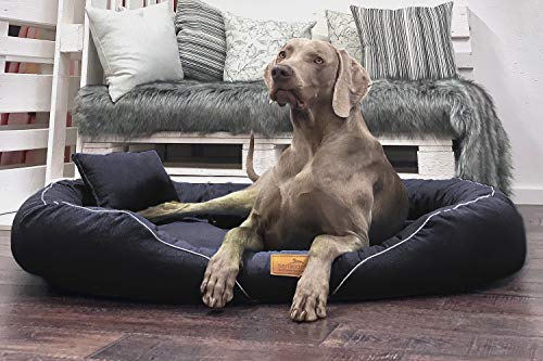 tierlando® Orthopädisches Hundebett Tiffany Couture | Große Hunde XL XXL | Elegant | Waschbar Memory Foam | Meliertes Hundesofa XL | Schwarz von tierlando