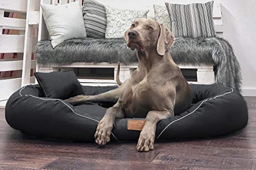 tierlando® Orthopädisches Hundebett Tiffany Couture | Große Hunde XL XXL | Elegant | Waschbar Memory Foam | Meliertes Hundesofa XXL | Anthrazit von tierlando