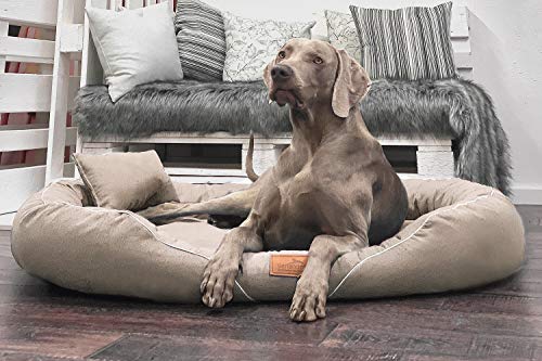 tierlando® Orthopädisches Hundebett Tiffany Couture | Große Hunde XL XXL | Elegant | Waschbar Memory Foam | Meliertes Hundesofa XXL | Beige von tierlando