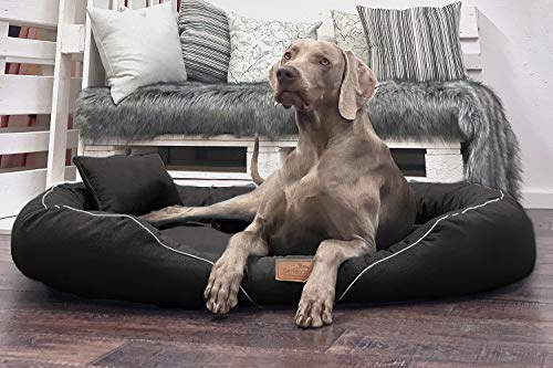 tierlando® Orthopädisches Hundebett Tiffany Couture | Große Hunde XL XXL | Elegant | Waschbar Memory Foam | Meliertes Hundesofa XXL | Dunkelbraun von tierlando