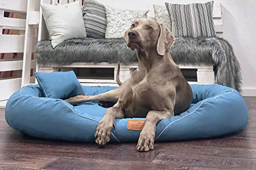 tierlando® Orthopädisches Hundebett Tiffany Couture | Große Hunde XL XXL | Elegant | Waschbar Memory Foam | Meliertes Hundesofa XXL | Jeans Blau von tierlando