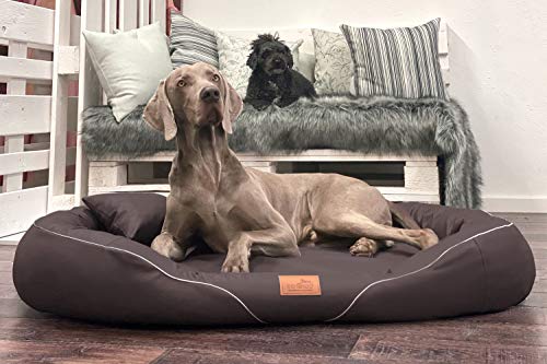 tierlando® Orthopädisches Hundebett Tiffany Easy-Clean | Große Hunde XL XXL | Allergiker Anti-Haar Kunstleder | Memory Foam XL | Braun von tierlando