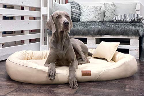 tierlando® Orthopädisches Hundebett Tiffany Easy-Clean | Große Hunde XL XXL | Allergiker Anti-Haar Kunstleder | Memory Foam XL | Creme von tierlando