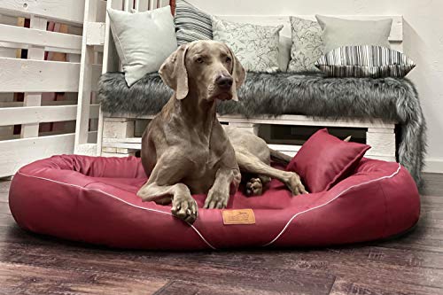 tierlando® Orthopädisches Hundebett Tiffany Easy-Clean | Große Hunde XL XXL | Allergiker Anti-Haar Kunstleder | Memory Foam XXXL | Dunkelrot von tierlando