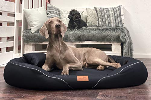 tierlando® Orthopädisches Hundebett Tiffany Easy-Clean | Große Hunde XL XXL | Allergiker Anti-Haar Kunstleder | Memory Foam XXXL | Schwarz von tierlando