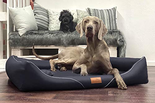 tierlando® Orthopädisches Hundebett WILLIAM Easy-Clean | Luxus Hundesofa Kunstleder | Allergiker Anti-Haar | Memory Foam XL+ | Schwarz von tierlando