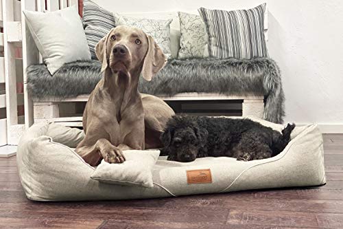 tierlando® Orthopädisches Hundebett William Couture | Bequemes Hundebett | Waschbar | Memory Foam | Kuscheliges Hundesofa L+ | Creme von tierlando