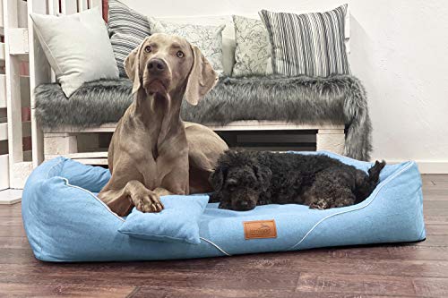 tierlando® Orthopädisches Hundebett William Couture | Bequemes Hundebett | Waschbar | Memory Foam | Kuscheliges Hundesofa L+ | Jeans Blau von tierlando