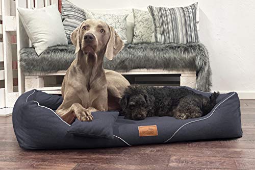 tierlando® Orthopädisches Hundebett William Couture | Bequemes Hundebett | Waschbar | Memory Foam | Kuscheliges Hundesofa L+ | Schwarz von tierlando