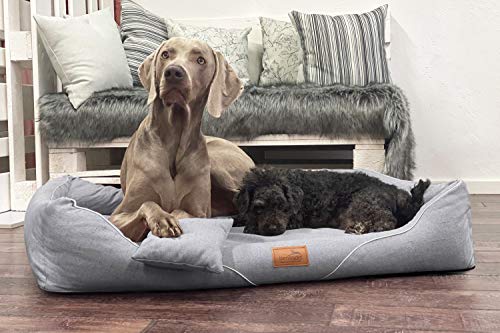 tierlando® Orthopädisches Hundebett William Couture | Bequemes Hundebett | Waschbar | Memory Foam | Kuscheliges Hundesofa XL+ | Graphit von tierlando