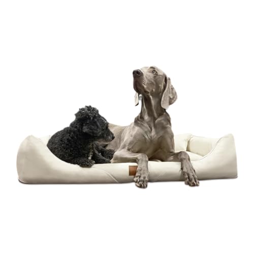 tierlando® Orthopädisches Hundebett William Easy-Clean | Luxus Hundesofa Kunstleder | Allergiker Anti-Haar | Memory Foam XL+ | Creme von tierlando