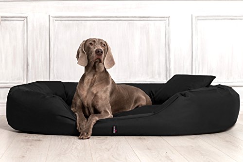 tierlando® Orthopädisches Hundebett Sammy - Robuster Polyester - Dicke Umrandung - Gr. L - XXXXL Hundesofa Hundekörbchen, mittelgroße und große Hunde, waschbar Gr. XXL 140 cm Schwarz von tierlando