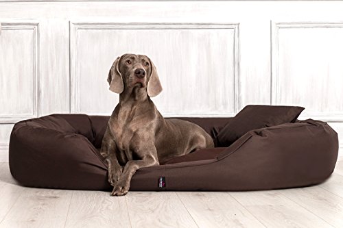 tierlando® Orthopädisches Hundebett Sammy - Robuster Polyester - Dicke Umrandung - Gr. L - XXXXL Hundesofa Hundekörbchen, mittelgroße und große Hunde, waschbar Gr. XXXL 170 cm Braun von tierlando