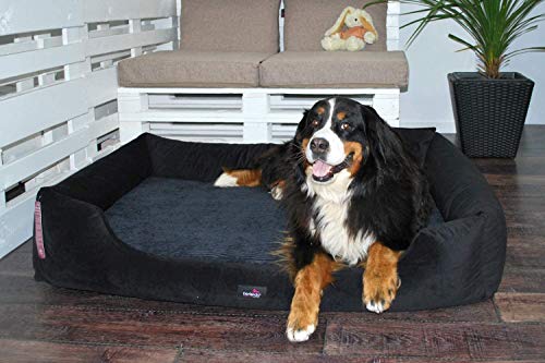 tierlando® Vincent Orthopädisches Hundebett | High-Tech-Velours Triton und Cord: edel und samtig weich | Mittel bis übergroß | Hundesofa Hundekorb Hundekissen (VI4 | 110 cm, 03 Schwarz) von tierlando