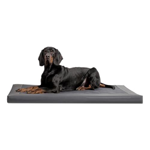 tierlando® Carlos Ortho-Medic Orthopädische Hundematte Velours-Kunstleder VISCO Hundebett Größe: M - 80x60cm | Farbe: 02 Graphit von tierlando