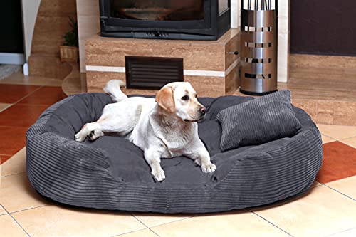 tierlando Hundebett Philip Hundesofa - SOFT Cord Velours - XL XXL XXXL - 110cm bis 170cm - Dogge, Ridgebacks Grau Ph4-AC-02 von tierlando