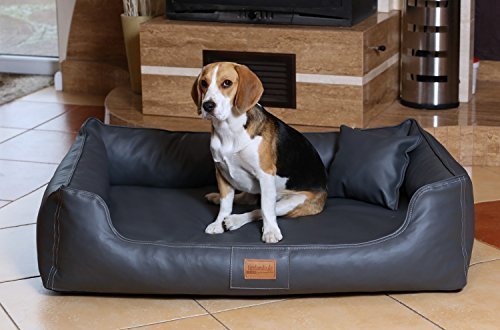 tierlando Maddox Komfort Hundebett Hundesofa Kunstleder S - XXL Größe: MN5-LL 120cm | Farbe: 02 Graphit von tierlando