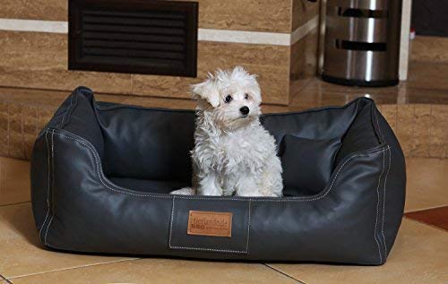 tierlando Maddox Komfort Hundebett Hundesofa Kunstleder S - XXL Größe: MN3-LL 80cm | Farbe: 02 Graphit Grau von tierlando