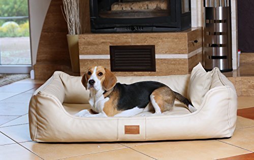 tierlando® Orthopädisches Hundebett Maddox Kunstleder Hundesofa Mittelgroß Große Hunde Hundesofa Hundekorb XL XXL Größe: MO5-LL 120cm Farbe: 05 Creme von tierlando