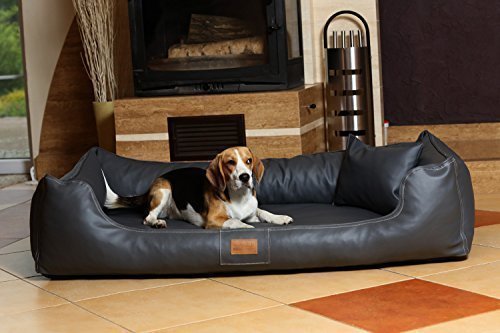 tierlando® Orthopädisches Hundebett Maddox Kunstleder Hundesofa Mittelgroß Große Hunde Hundesofa Hundekorb XL XXL Größe: MO6-LL 150cm Farbe: 02 Graphit von tierlando