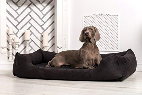 tierlando Moritz Komfort Hundebett Hundesofa M - XXXL 90 110 130 160 185 cm Größe: M4 / L 100cm | Bezug: Polyester 600D | Farbe: 03 Schwarz von tierlando