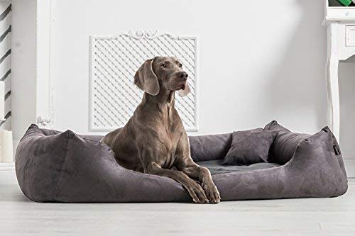 tierlando Moritz VIP Hundebett Hundesofa M - XXXL 90 110 130 160 185 cm M4-V-02 Größe: M4 / L 100cm | Bezug: Velours | Farbe: 02 Graphit-Grau von tierlando