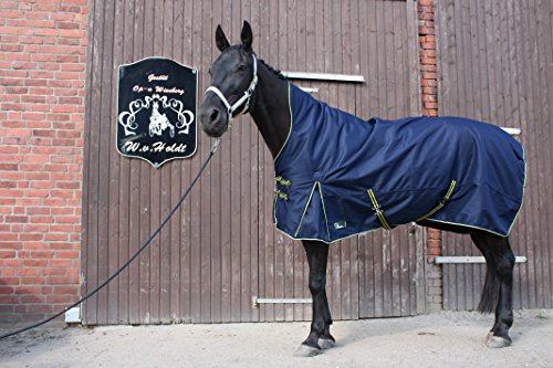 time4horses 1200Denir High Neck 100g Pferdedecke Winterdecke Paddockdecke Stalldecke Weidedecke Rug (125 cm) von time4horses