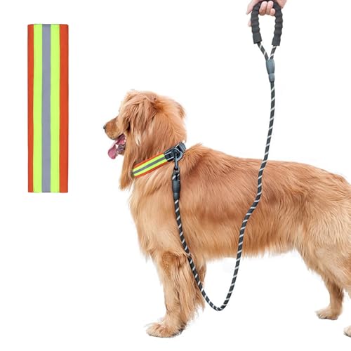 Reflektierendes Hundehalsband-Ärmel, Nachtsichtbarkeit, Sicherheits-reflektierendes Hundehalsband-Pad von tinkare