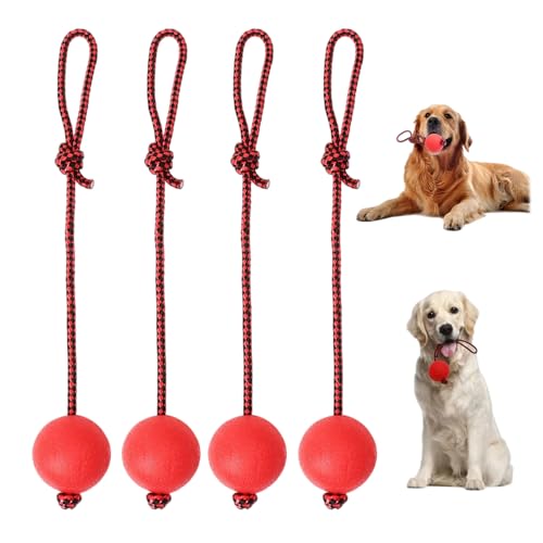 tintoke 4 Stück Naturkautschuk Wurfball Hund,Elastische Hundespielzeug Ball mit Seil,Ball am Seil,großer Und Kleiner Hundeball,Elastischer Wurfball,Geeignet zum Trainieren und Spielen von Haustieren von tintoke