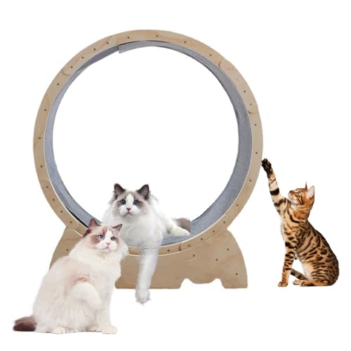 Cat Running Wheel Katzenlaufrad,Ultra-Quiet Running Cat Übung Rad mit Locking Mechanismus, Haustier Laufband Laufrad für Indoor-Katze Sport Spielzeug Katze Möbel von tinysiry