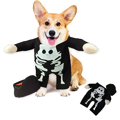 tinysiry Halloween-Kürbis-Hunde-Cosplay-Kostüm, leuchtendes Hunde- und Katzen-Halloween-Outfit, Haustier-Cosplay-Kleidung für kleine Hunde, lustige Kostüm-Hundekleidung Schwarz L von tinysiry