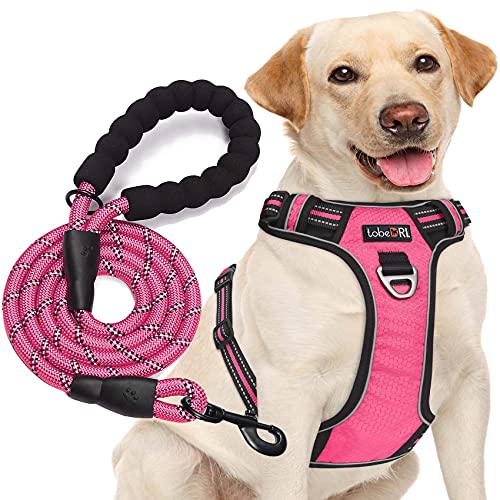 TobeDRI Hundegeschirr, verstellbar, reflektierend, Oxford-Gewebe, einfache Kontrolle, Größe M, L, mit Einer strapazierfähigen 1.5 m Langen Hundeleine, Chest: 24.5"-33", Rosa Geschirr + Leine von tobeDRI