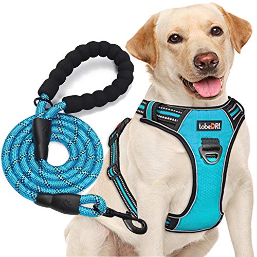 tobeDRI Hundegeschirr, kein Ziehen, verstellbar, reflektierend, Oxford-Gewebe, einfache Kontrolle, mit kostenloser strapazierfähiger 1,5 m langen Hundeleine, Größe M (Hals: 37–52 cm, Brustumfang: von tobeDRI