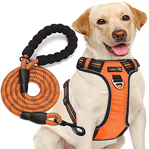 tobeDRI Hundegeschirr, kein Ziehen, verstellbar, reflektierend, Oxford, mit einer 1.52 m langen Hundeleine (L (Brustumfang: 64.8 cm - 78.7 cm), orangefarbenes Geschirr + Leine) von tobeDRI