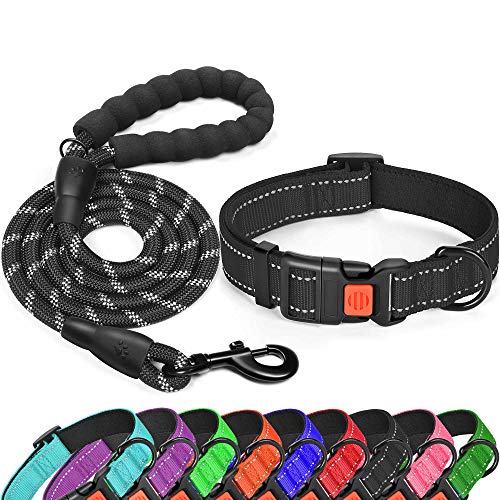 tobeDRI Reflektierendes Hundehalsband aus Nylon, weich gepolstert, reflektierend und verstellbar, Hundehalsbänder für kleine, XS-Hals 25.4 cm - 33 cm, schwarz) von tobeDRI
