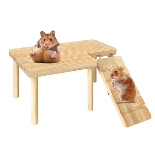 Hamstertreppe – Hamster Kletterspielzeug – Hamster Hängeplattform Spielzeug Lange Kletterleiter – Hamsterhaus Kletterleiter Für Hamster Rennmäuse äuse von tongfeng