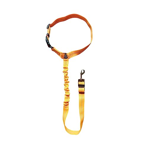 tuwiwol Polyester Pet Walking Leine Tragbare Ersatz Anti verloren Einfarbig Einstellbare Haustiere Halsband Halsband Zubehör, Orange von tuwiwol