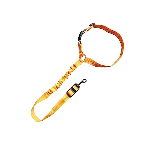 tuwiwol Praktisches Hunde Sicherheitshalsband – sorgt für die Sicherheit von Haustieren überall. Sicherheitsgurt Halsband für Haustiere, einfach zu verwenden, skalierbar, Orange, 1 von tuwiwol