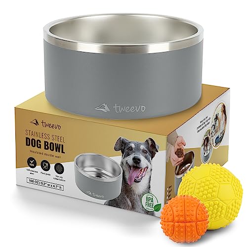 Tweevo Hundenapf aus Edelstahl mit 2 Gummibällen, langlebiger rutschfester Hundenapf, isolierter Hundefutter oder Wassernapf für Haustierfütterung (10 oz, Grau) von tweevo