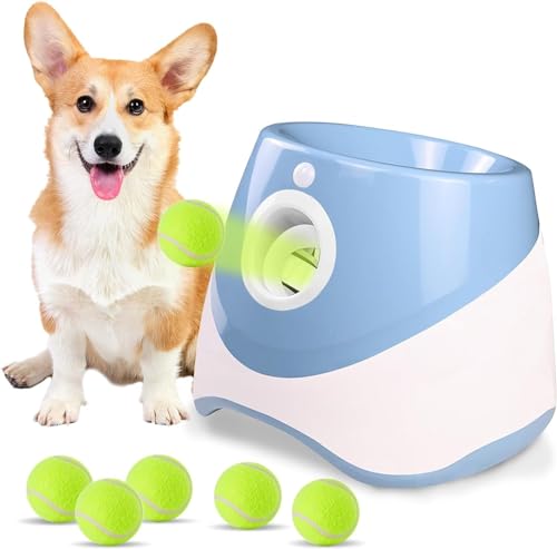 Automatischer Hundeballwerfer, Hundeballwerfer, Interaktives Welpen-Haustier-Apportierspielzeug, Mini-Hundeballwurfmaschine For Kleine Und Mittelgroße Hunde, Mit 6 Stück 2,5-Zoll-Tennisbällen ( Color von tylxayoxa