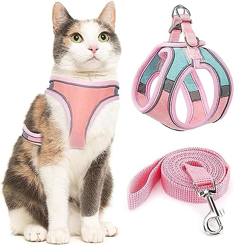 Hundegeschirr Für Hunde Weich Mesh Atmungsaktiv Katzengeschirr Mit Leine Set Reflektierendes Verstellbar Welpen Brustgeschirr Für Kleine Hunde Katzen (Color : A, Size : M) von tylxayoxa