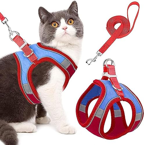 Katzengeschirr Ausbruchsicher Cat Harness Katzengarnitur Geschirr Katzen Leine Und Geschirr Atmungsaktiv Mesh Verstellbare Für Outdoor Training Kleine Katze Kitten (Color : D, Size : S) von tylxayoxa